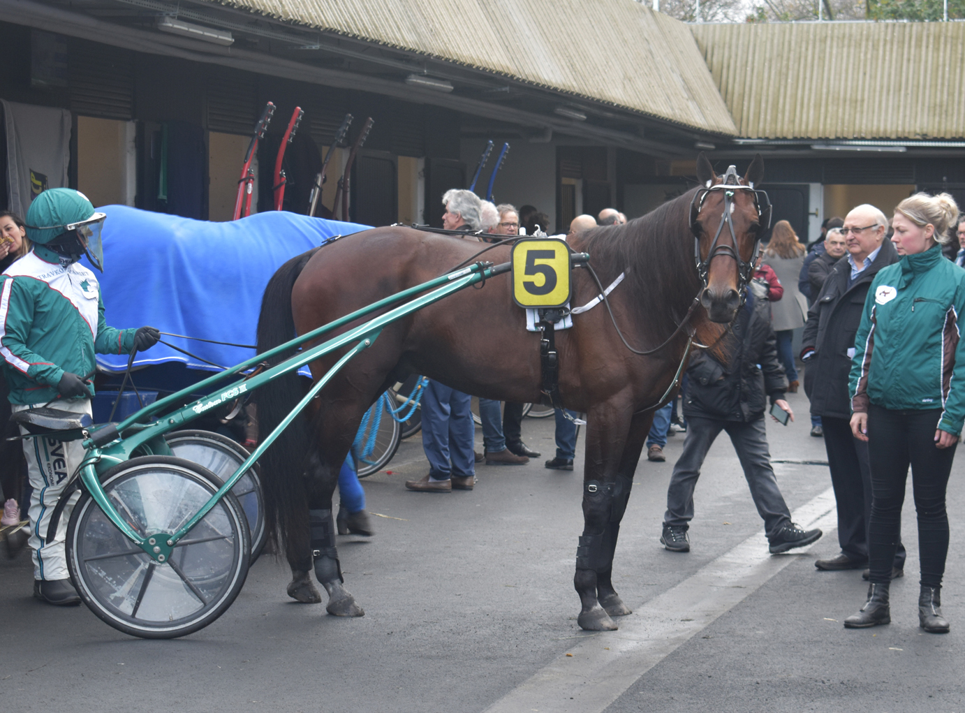 Who's Who på Vincennes på söndag. Foto; A.Lindblom